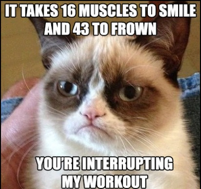 I workout everyday  - meme