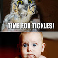 tickle owl.