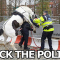 fuck the police