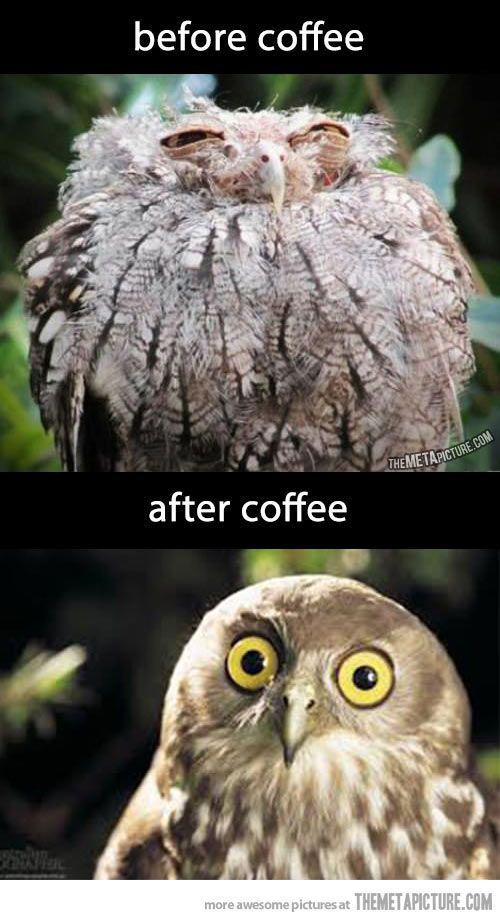 the effect of coffee!  - meme