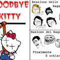 goodbye kitti!