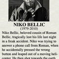 Long Live Niko