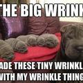 The holy wrinkle
