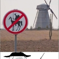 No es país para Quijotes