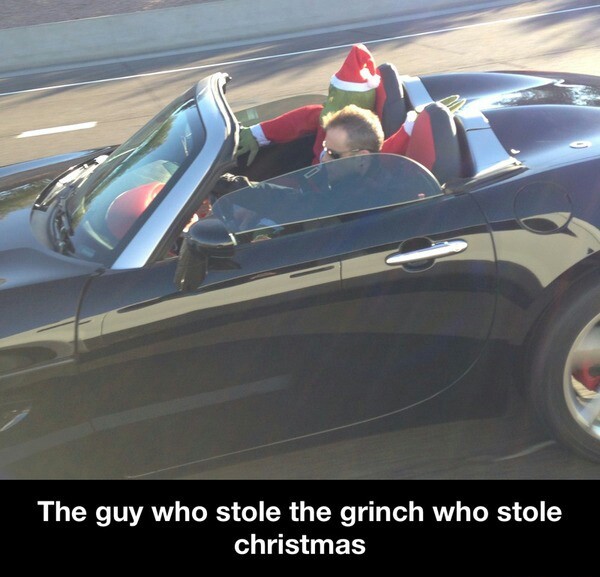 The guy who stole the grinch - meme