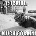 Cocaine xD