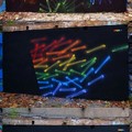Colored x-ray style murals