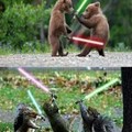 Animals with lightsabers