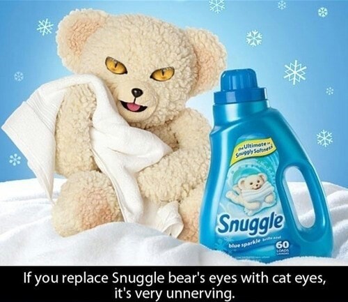 Snuggle bear - meme