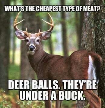 How much would it cost for you to eat deer balls - meme