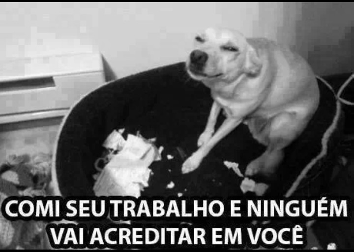 cachorro foda - meme