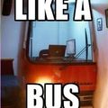 Bus*