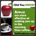 Apple vs coffee