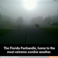 Another Zombie Weather