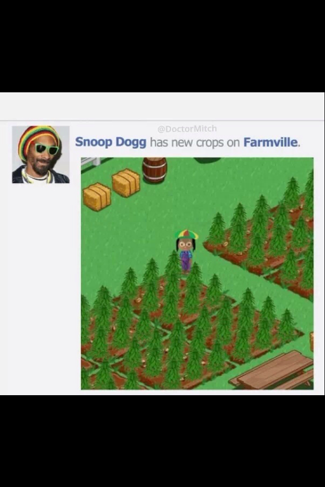 Snoop's Mary Jane  - meme
