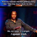 It's OK, I Speak Irish