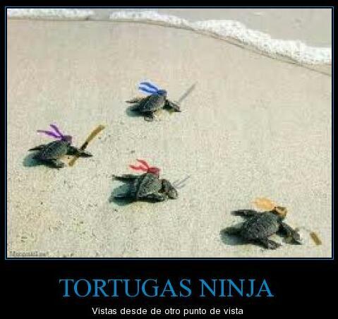 Tortugas Ninja - meme