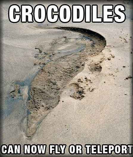 Crocodiles Meme Subido Por Saaaby95 Memedroid