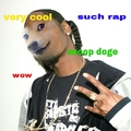 snoop doge