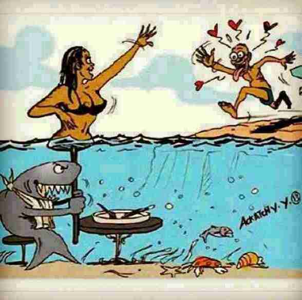 Shark Attack ! - meme