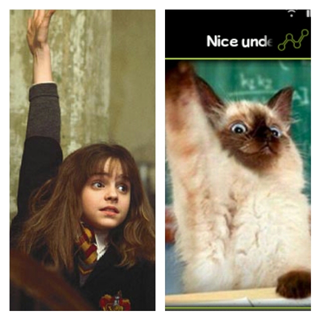 hermione - meme