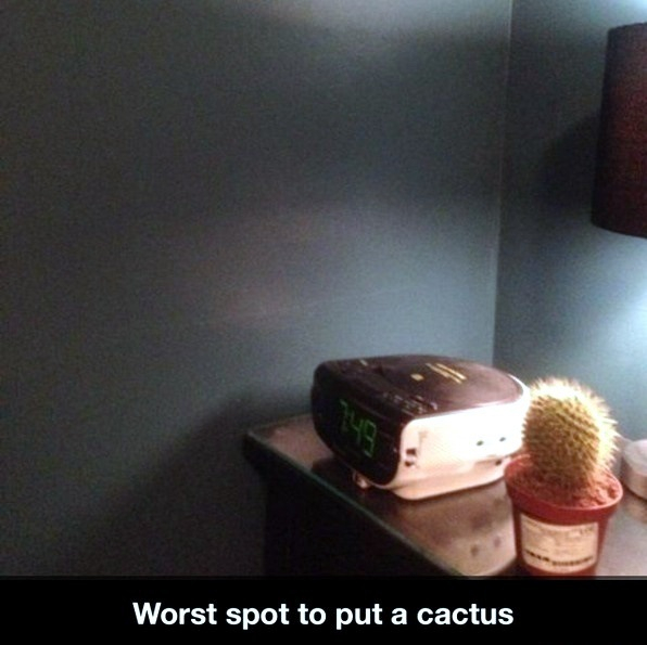 Worst spot to put a cactus - meme