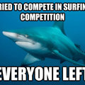 misunderstood sharky :(