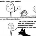 chiens-chats