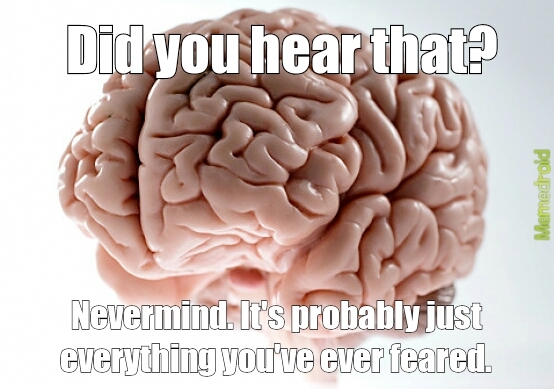My brain + 3:00am = Paranoia - meme