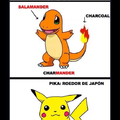 Significados nombres Pokemons