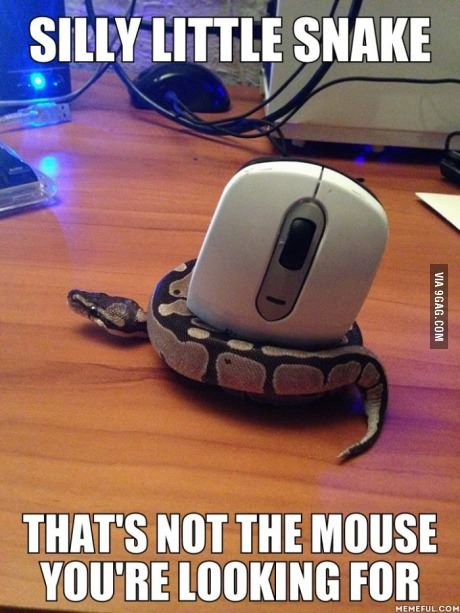 Wrong mouse - meme