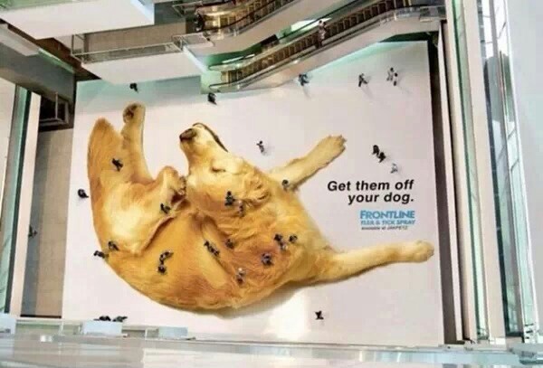 Genius advertising - meme