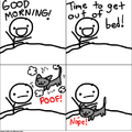 Every morning with my cat...