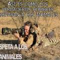 Respeto a los animales