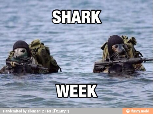 shark week - meme