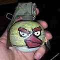 le vrai angry birds