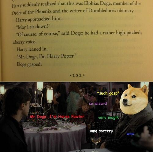 such potter. very wizard. so Harry. wow - meme