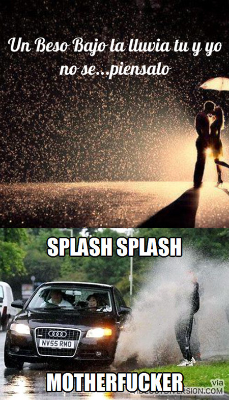 splash - meme