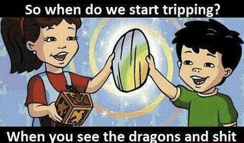 when you see dragons and shit - meme