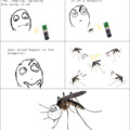 Mosquito solved.