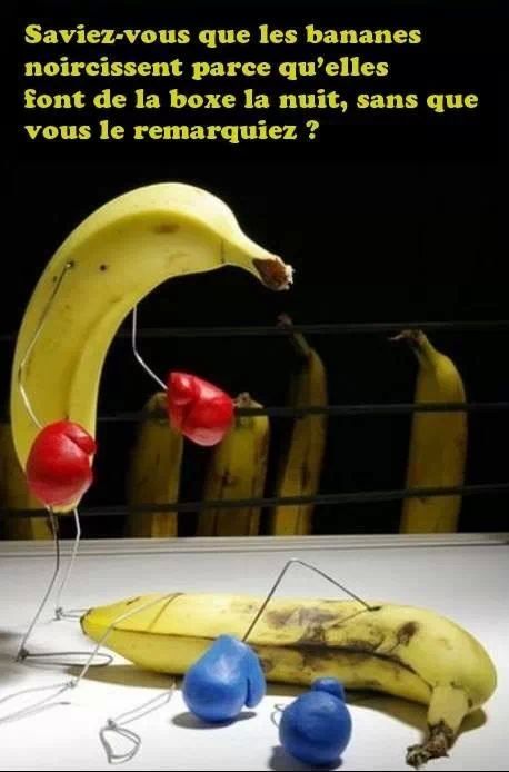 réponse sur les bananes abîmés - meme