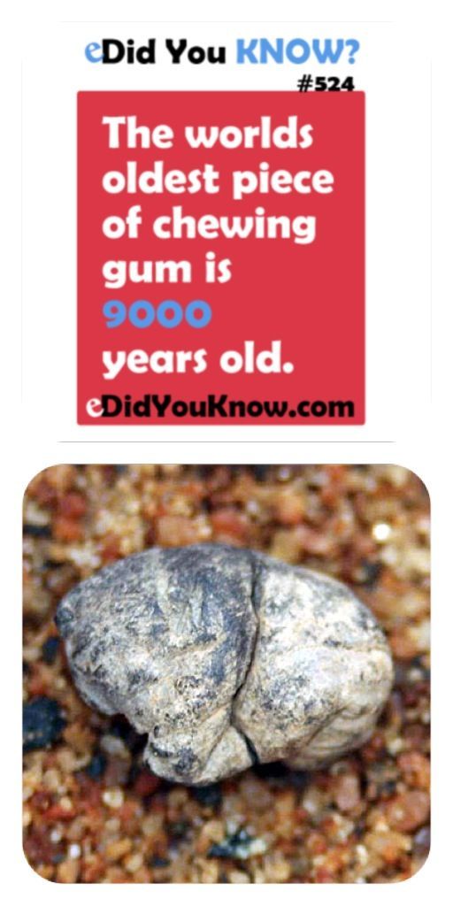 How old is the worlds oldest piece of chewing gum The Oldest Piece Of Chewing Gum Meme By Magic Smiley Memedroid
