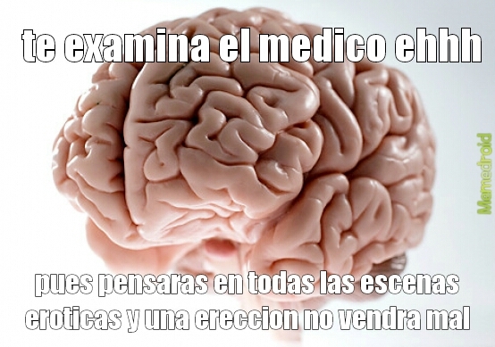 cerebro - meme