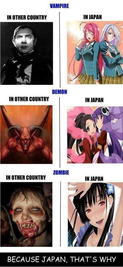 Beacuse Japan that's why - meme