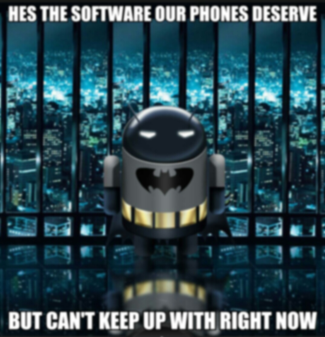 most secured software ever - meme