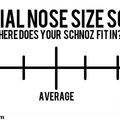 Nose scale
