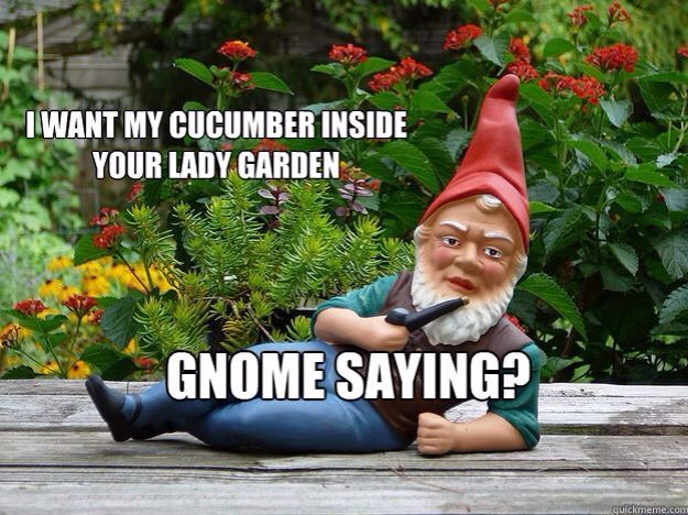 One for my gnomies  - meme