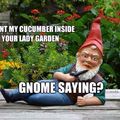 One for my gnomies 