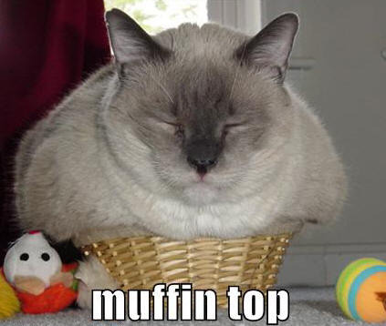 muffins taste nicer than cats - meme