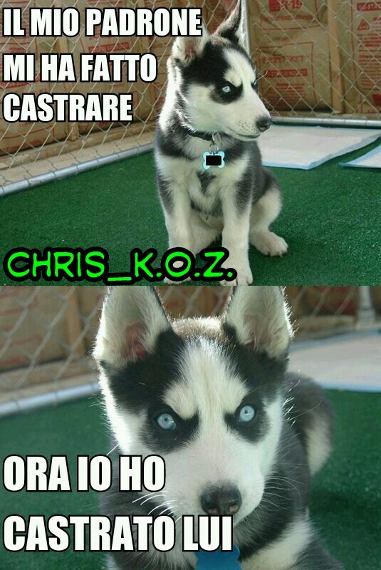 Castrato - meme